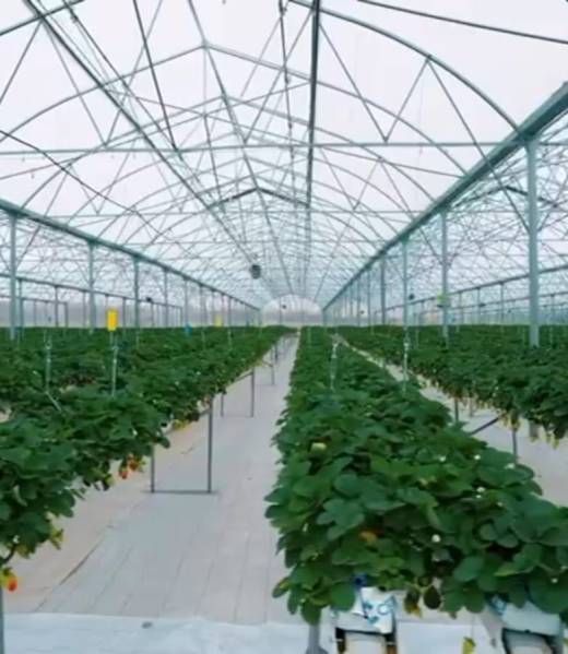 6ec67a64-5e67-44e1-b8d1-c03e4f4f6f74